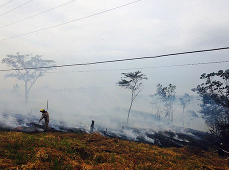 2608-cotidiano-incendioirineuserra2