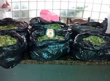 0509-policia-folhacoca