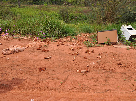 1609-cotidiano-crimeambiental