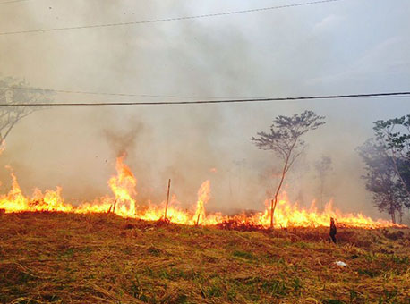 2608-cotidiano-incendionaapa