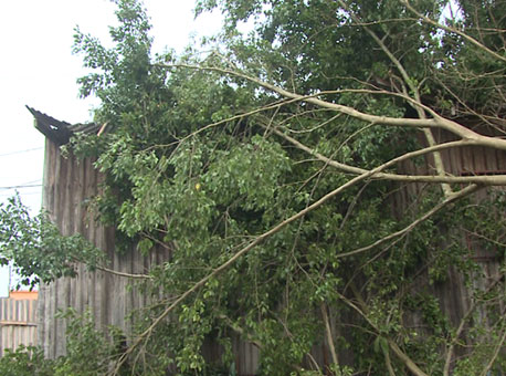 0310-cotidiano-vendaval-tvgazeta2