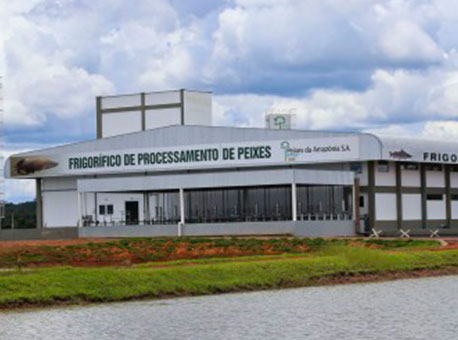 310115-politica-economia-agenciadenoticias