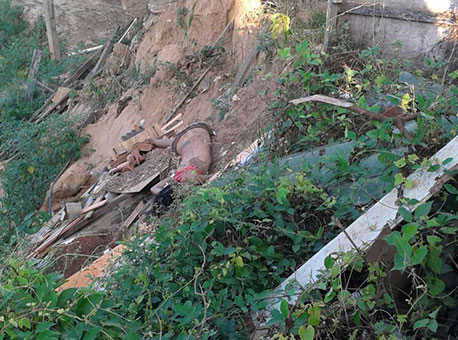 040815--policia-mulhermorta-tvgazeta