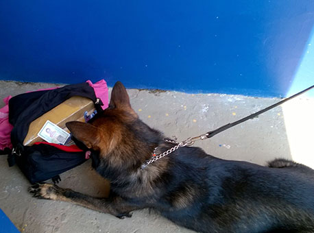 221015-policia-roccoemacao-roselima