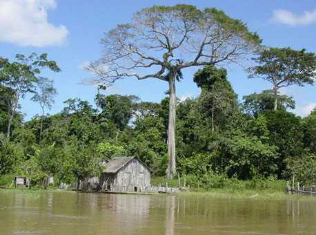 040316-cotidiano-cronicadebarrancoultimobrasileiro-divulgacao