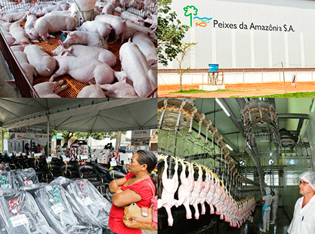 231017-politica-producaomosaico-arquivo