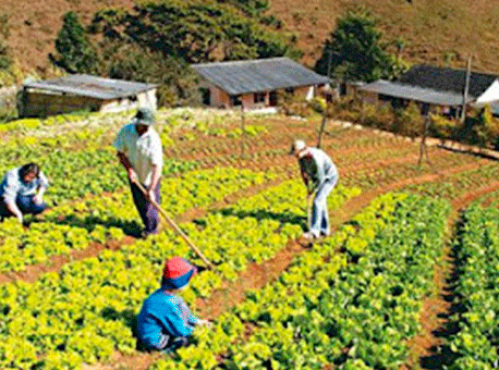 281217-politica-agriculturafamiliar-agriculturajordaoblogspot3