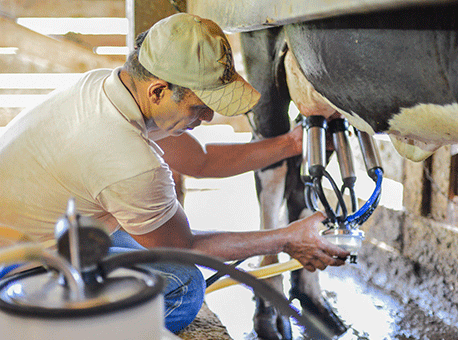 070918-politica-leite-divulgacao