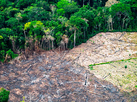 241018-cotidiano-queimadas-greenpeace40