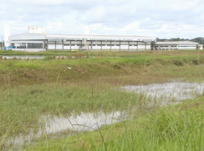 130218-politica-peixesdaamazonia-tvgazeta 410 305