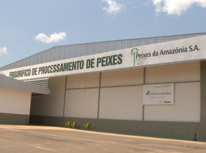 310119-politica-peixes-daamazonia-fgts-atrasado 410 305