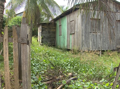 010519-cotidiano-dengue