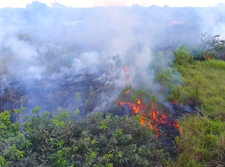 110619-politica-prevencao-queimadas