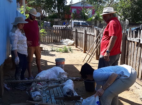 180719-fossil-brasileia