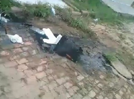 WhatsApp Image 2019-07-05 at 09.10.38