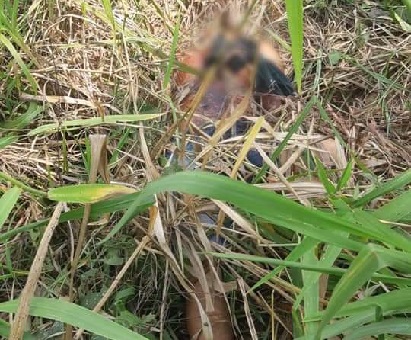 09-08-19 HOMICIDIO TAQUARI