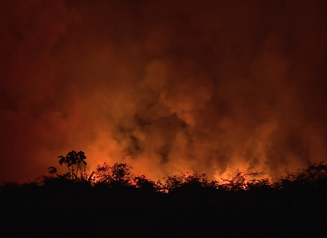 26-08-19 PLANO DE AÇÃO QUEIMADAS