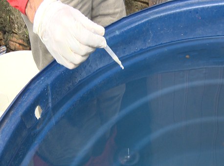 01-09-2019-coitidiano-dengue