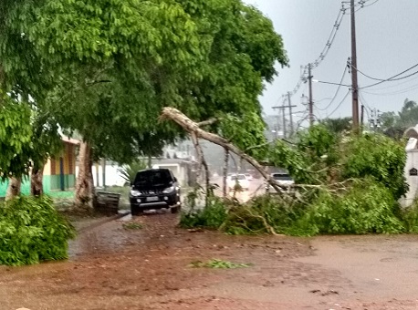 WhatsApp Image 2019-10-01 at 10.07.44 1