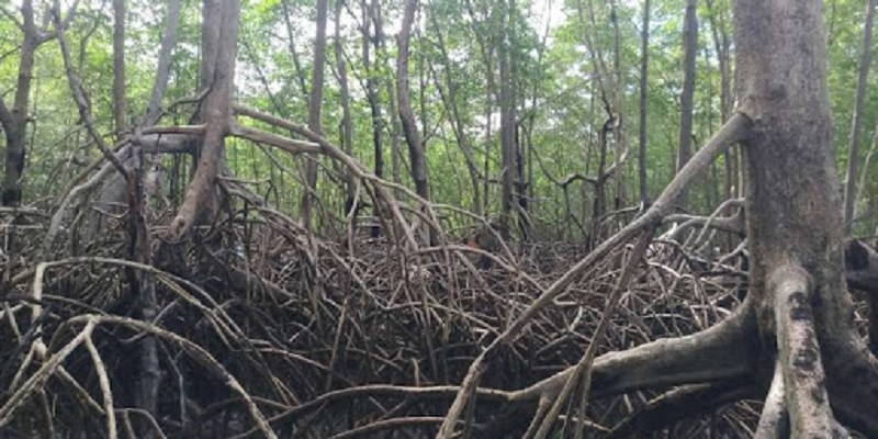 Homem de 51 anos morre durante caçada na zona rural do Acre