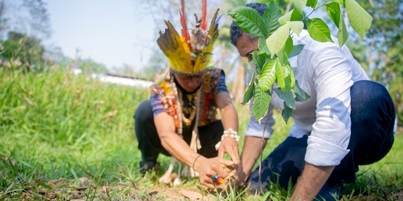 Dia da Amazônia: Funtac realiza cultivação e plantio de mudas