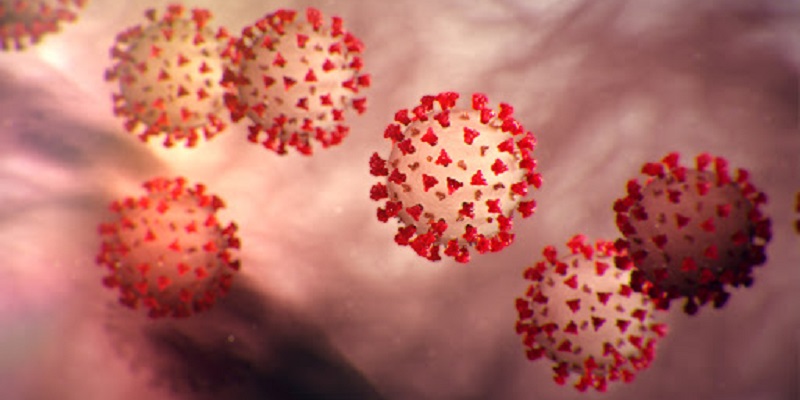 Sem óbitos, Acre registra seis novos casos de covid-19 neste domingo