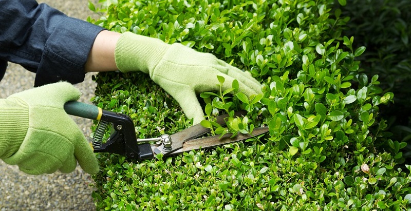 Sine oferece 79 vagas de emprego para Rio Branco nesta sexta-feira