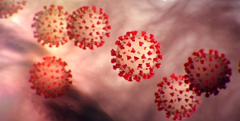 Seis casos de covid-19 são registrados nesta terça-feira no Acre; 13 exames aguardam análise