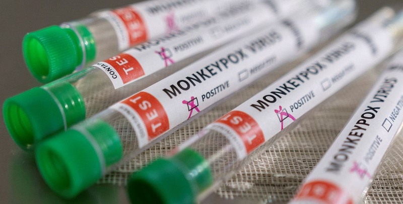 Varíola dos macacos: OMS declara emergência internacional de saúde