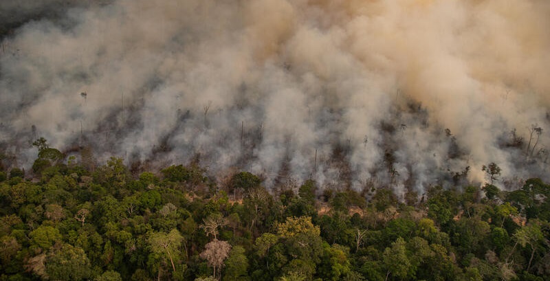 Desmatamento no Acre aumenta mais de 35% em comparação a 2021