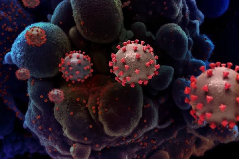 Acre registra 7 novos casos de coronavírus nesta sexta-feira