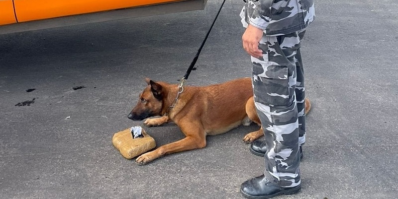 Mulher é presa com mais de 2kg de drogas no Centro de Cruzeiro do Sul