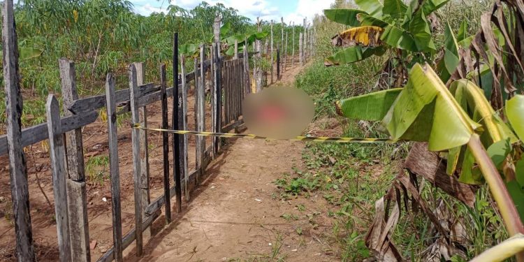 Corpo de jovem é encontrado em área de mata da Cidade do Povo