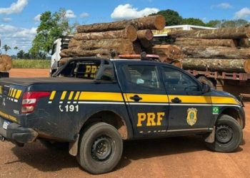 Em operação, PRF combate extração ilegal e grilagem no Acre