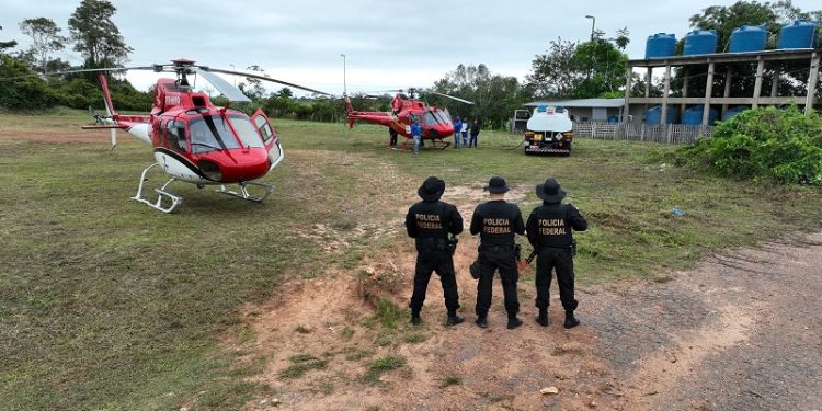 Operação contra desmatamento ilegal, extração irregular de madeira e à invasão de terras públicas é deflagrada no Acre