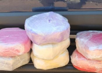 Passageira é presa com quase 8 kg de cocaína em ônibus indo do Acre para Porto Velho