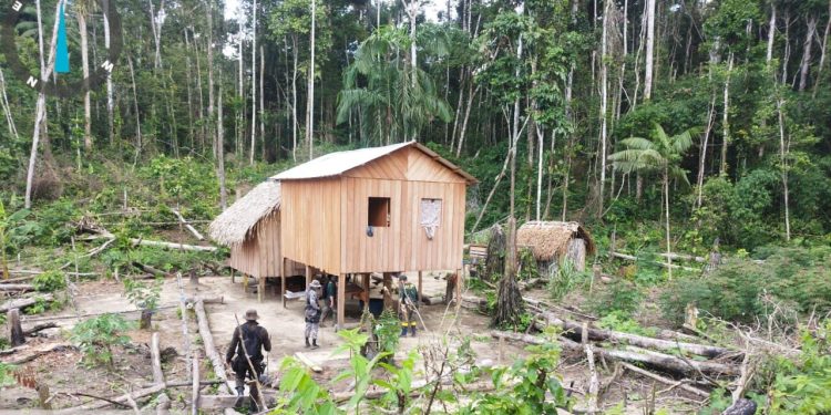 Três pessoas são presas durante operação de combate a crimes ambientais no interior do Acre