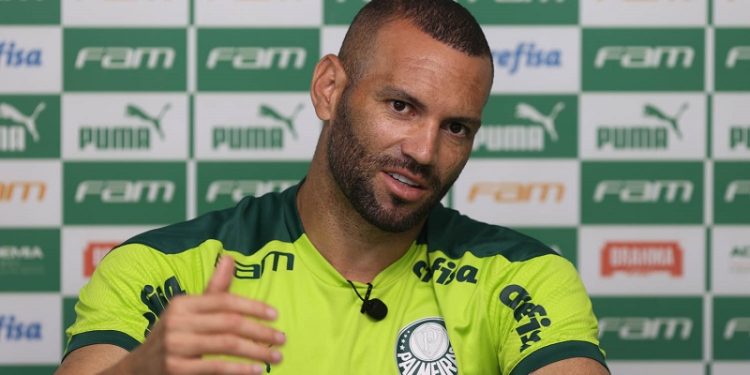 Vai deixar o Palmeiras? Goleiro Weverton é aprovado em exame teórico de piloto de avião