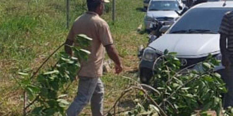 Trecho da BR-317 é totalmente interditado por moradores de Senador Guiomard