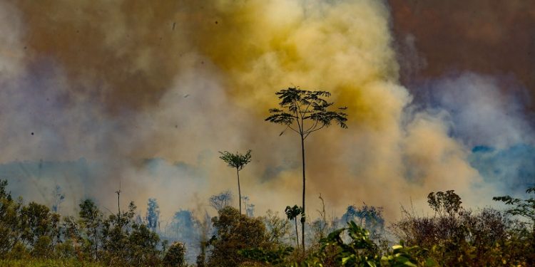 Tarauacá e Feijó estão na lista nacional de municípios com mais focos de queimadas nas últimas 48 horas