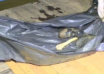 Ossos humanos são encontrados às margens do rio Acre em Rio Branco