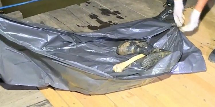 Ossos humanos são encontrados às margens do rio Acre em Rio Branco