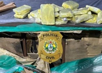 No Acre, caminhoneiro é preso ao transportar 33 kg de cocaína dentro de sofá e cama box