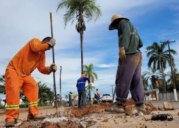 Secretaria de Meio Ambiente de Rio Branco diz que árvores foram derrubadas devido ao risco de causar acidentes