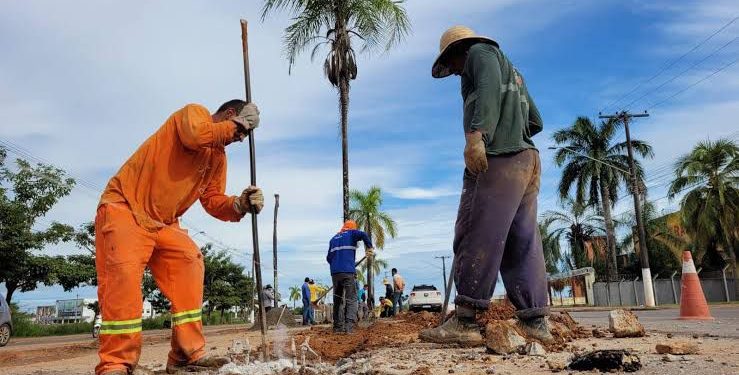Secretaria de Meio Ambiente de Rio Branco diz que árvores foram derrubadas devido ao risco de causar acidentes