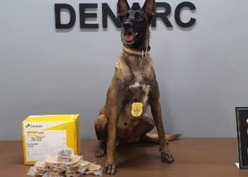 Cão farejador detecta drogas em agência dos Correios de Rio Branco com destino ao Tocantins
