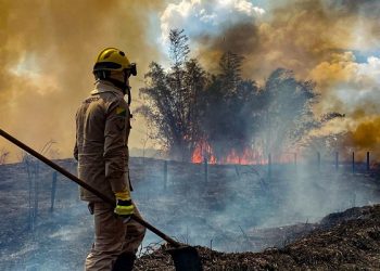 Feijó e Tarauacá estão entre os dez municípios do Brasil com mais registros de queimadas