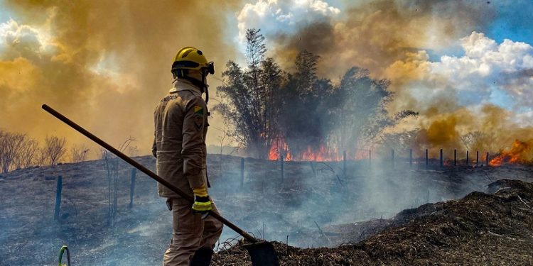Feijó e Tarauacá estão entre os dez municípios do Brasil com mais registros de queimadas