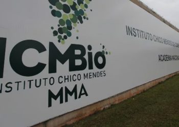 ICMBio abre concurso público com 98 vagas para analista ambiental; salário de quase R$ 10 mil