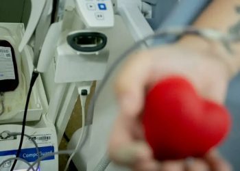 Hemovida: conheça o aplicativo que incentiva na doação de sangue
